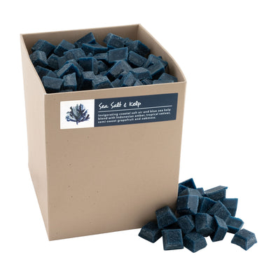 2.5 lb Wax Melts - Sea Salt & Kelp