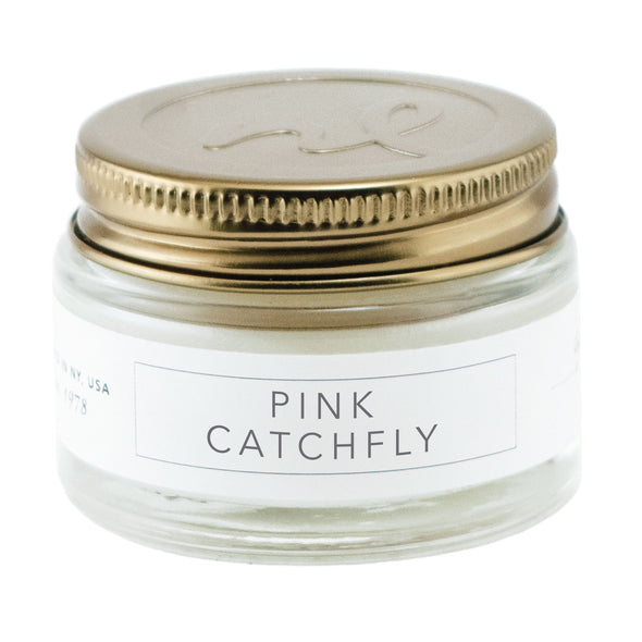 1oz Candle - Pink Catchfly