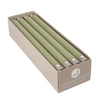 12" Tapers 12pk - Sage Green