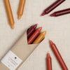 12" Tapers 6pk Gift Set - Autumn Harvest