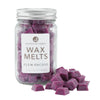Northern Lights Candles / Mason Melts - Plum Orchid