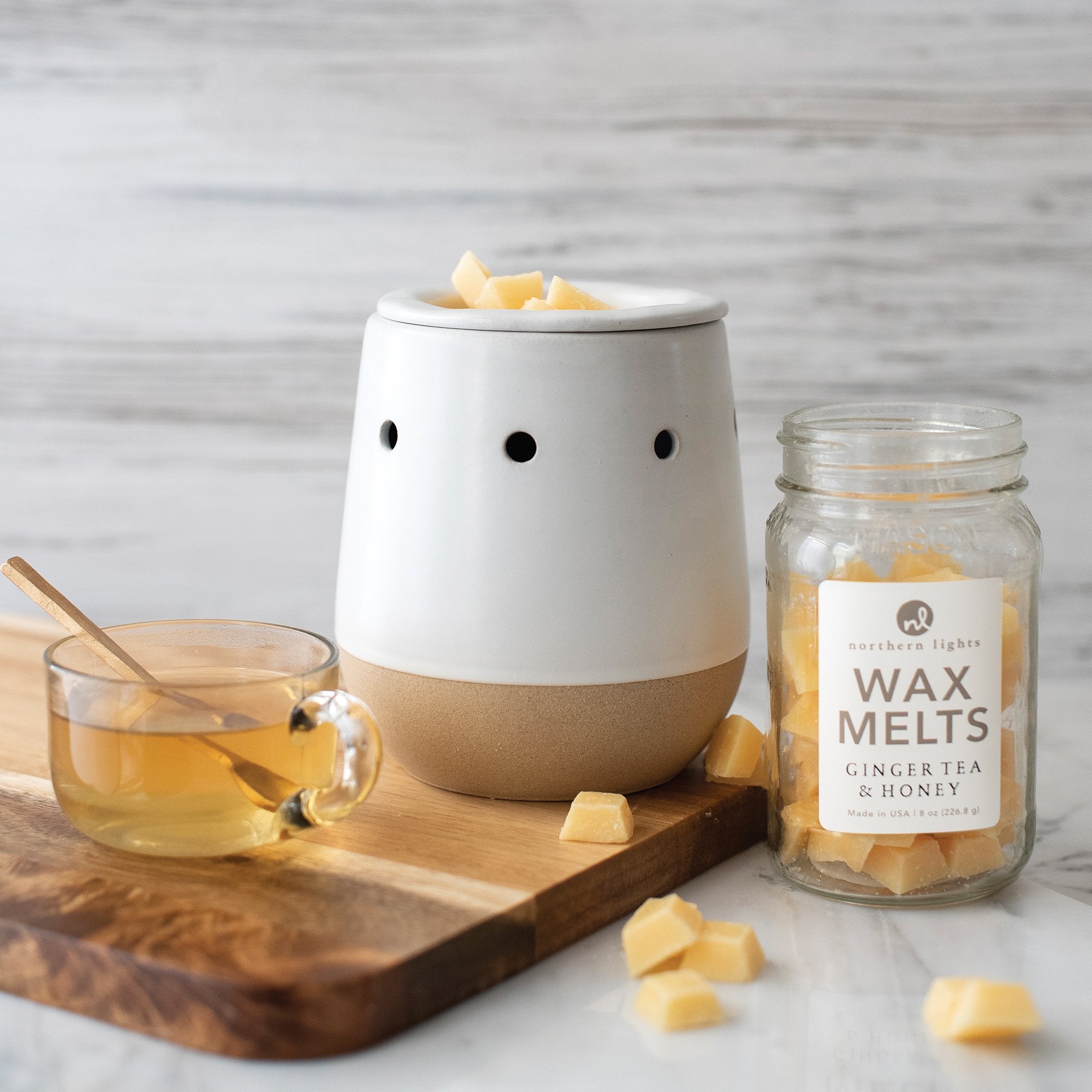 succulent wax melter Electric Wax Melt Warmer